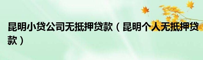 昆明住房公积金贷款政策_个体户办了执照却没有营业_昆明个人营业执照贷款政策