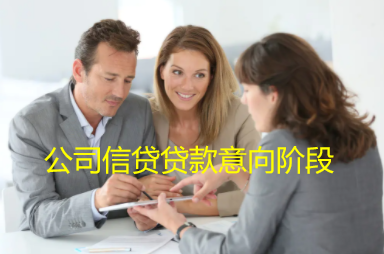 公司信贷贷款意向阶段