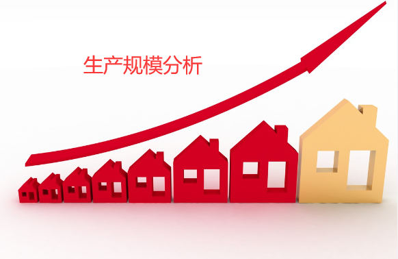 生产规模分析