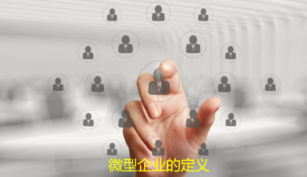 微型企业的定义