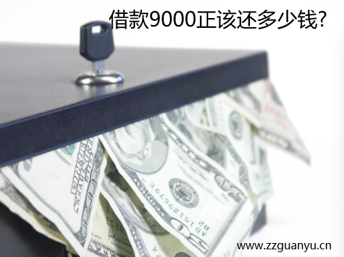 借款9000正该还多少钱?